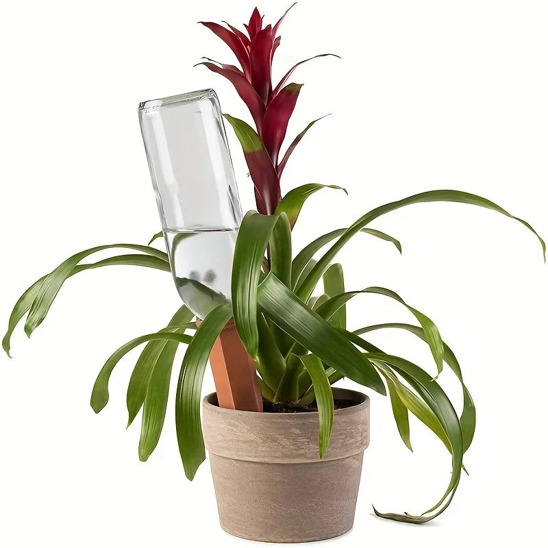 EverNest TerraDrip™ Self-Watering Spikes