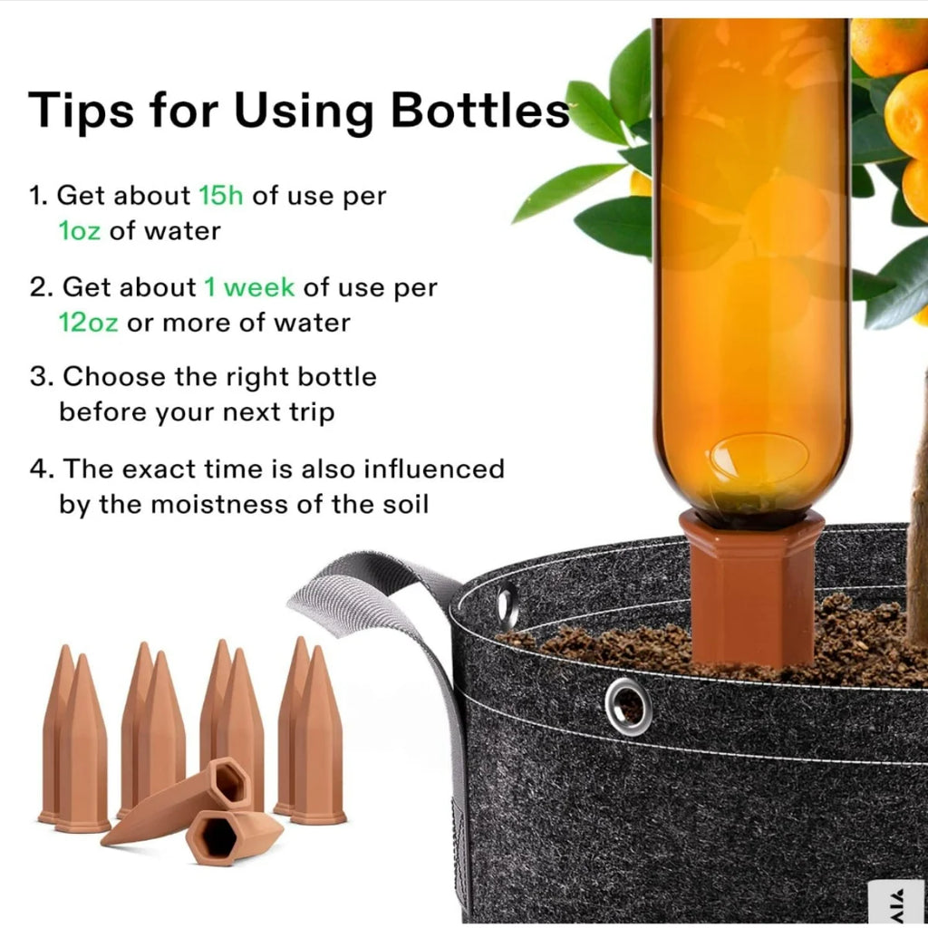 EverNest TerraDrip™ Self-Watering Spikes