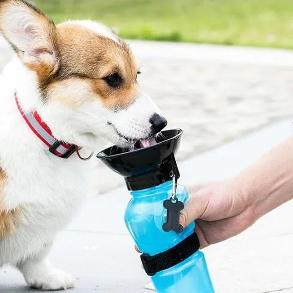 EverNest HydroPaw™ Travel Bottle