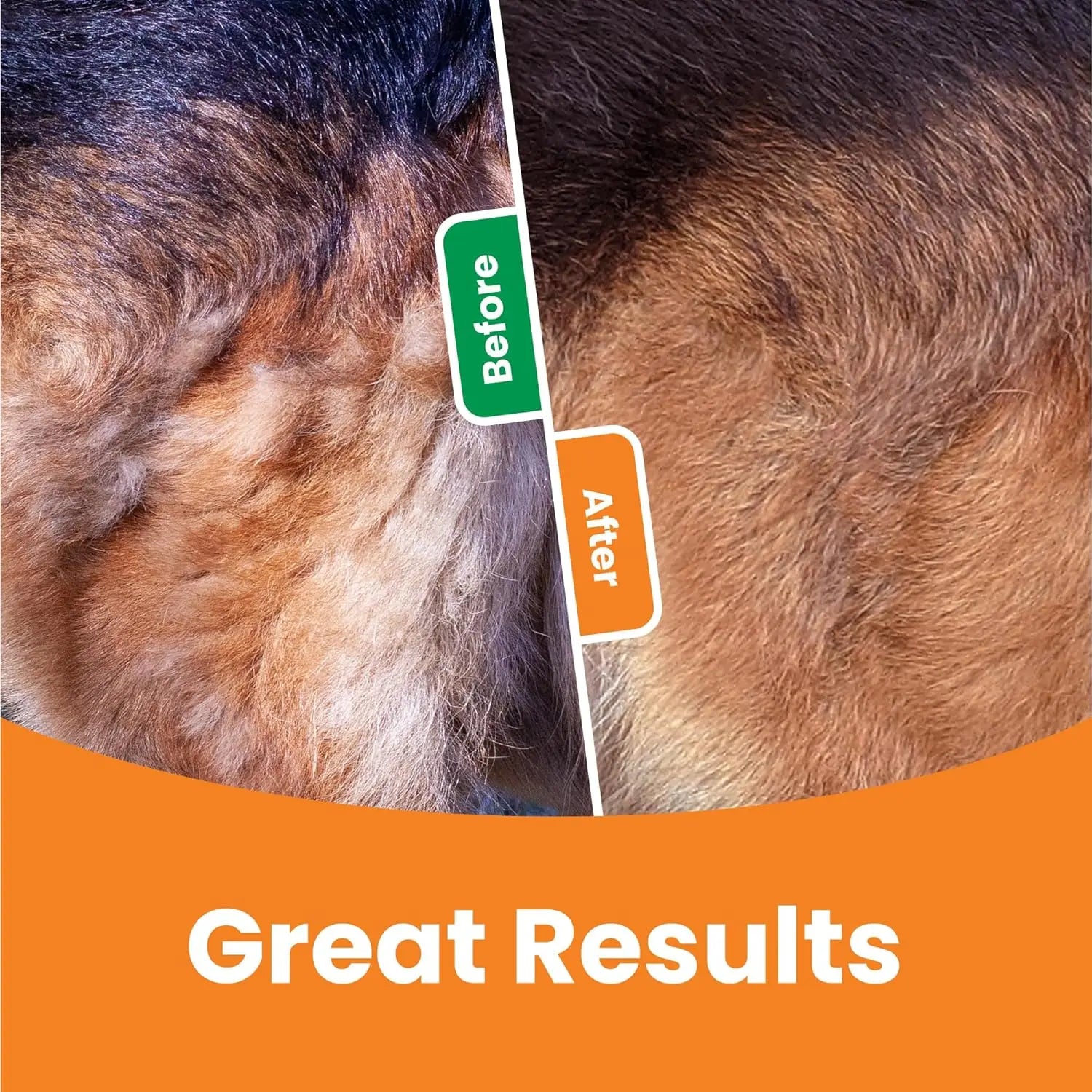 EverNest FurEase™ 3-in-1 Grooming Brush